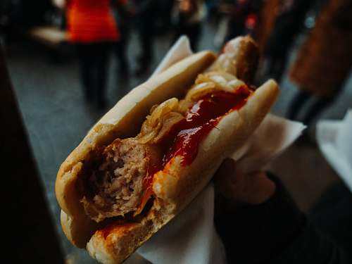 hot dog person holding hotdog sandwich human